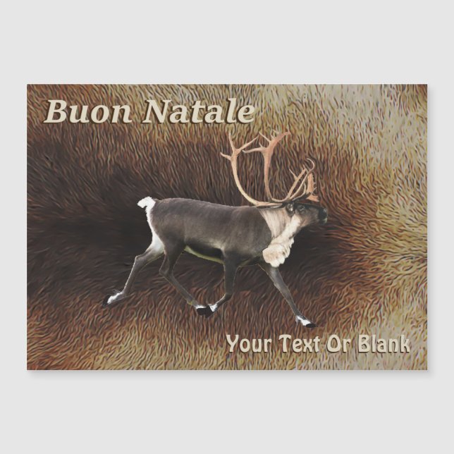 Buon Natale - Bull Caribou (Reindeer) (Devant)