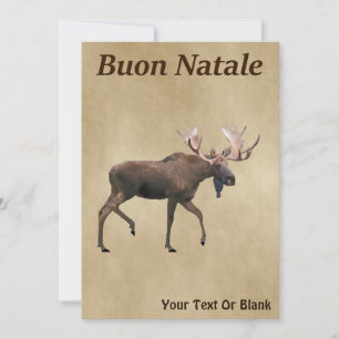 Buon Natale - Bull Moose Sur Ancien Papier