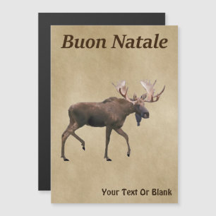 Buon Natale - Bull Moose Sur Ancien Papier