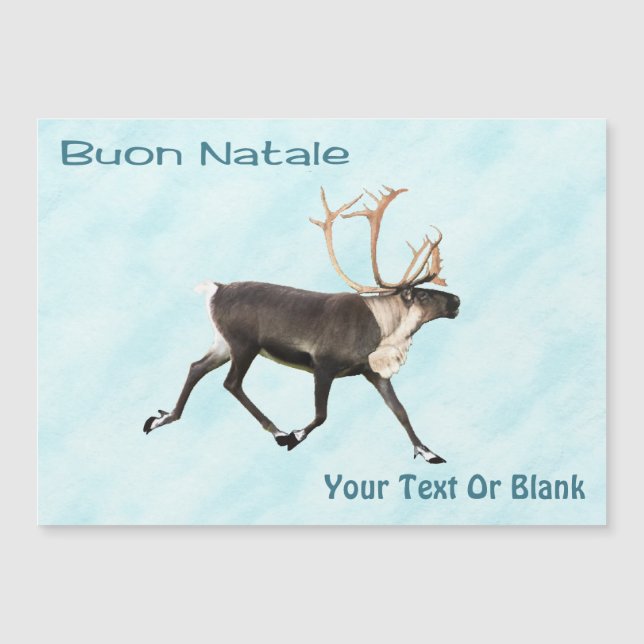 Buon Natale - Caribou (Rennes) Sur Neige (Devant)