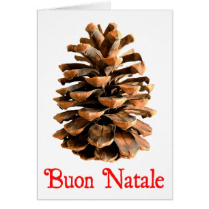 Buon Natale - Cône de pin de Jérusalem