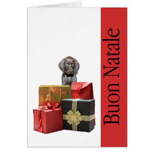 Buon Natale germanique à courte durée