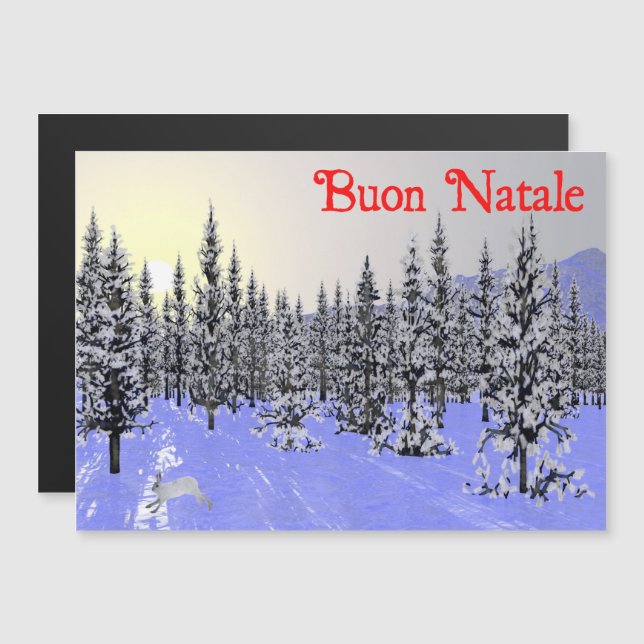Buon Natale - Solstice d'hiver (Devant / Derrière)