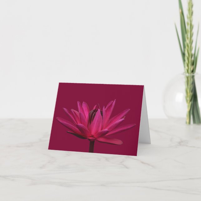 Burgundy Pink Water Lily Blank Note Cartes de voeu (Devant)