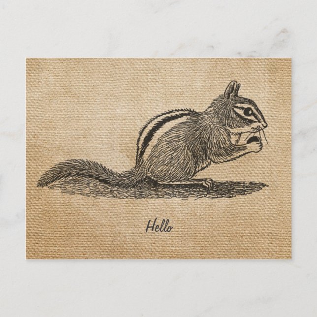 Burlap Vintage bonjour Chipmunk Carte postale (Devant)