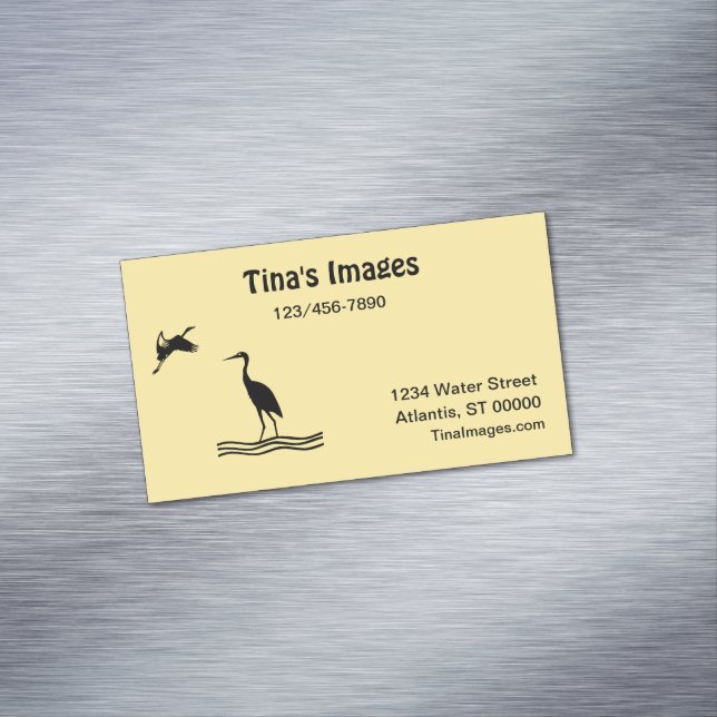 Bus. Carte (mag) - Oiseaux côtiers (In Situ)