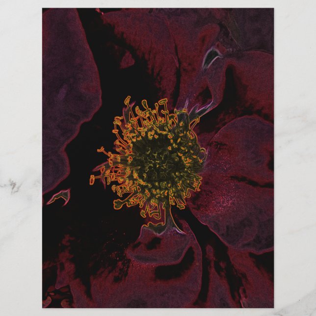 Bush Rose Neon (Devant)