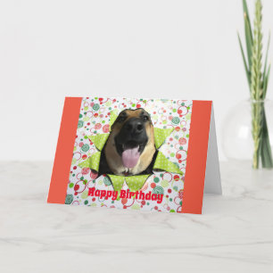 Bust Out German Shepherd Carte de voeux d'annivers