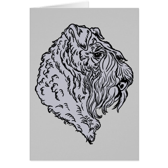 Buste Kerry Blue Terrier (Devant)