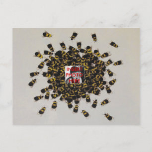 Busy Bee PHOTO INSERT ~ Carte postale