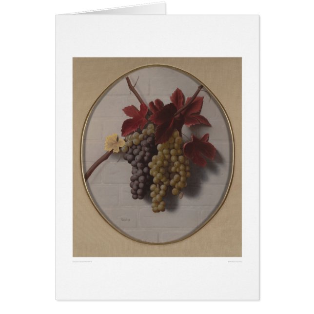 Butin des raisins (1363) (Devant)