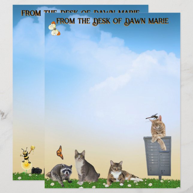 Butterfly, Dragonfly, Raccoon, and Summer Fun (Devant / Derrière)