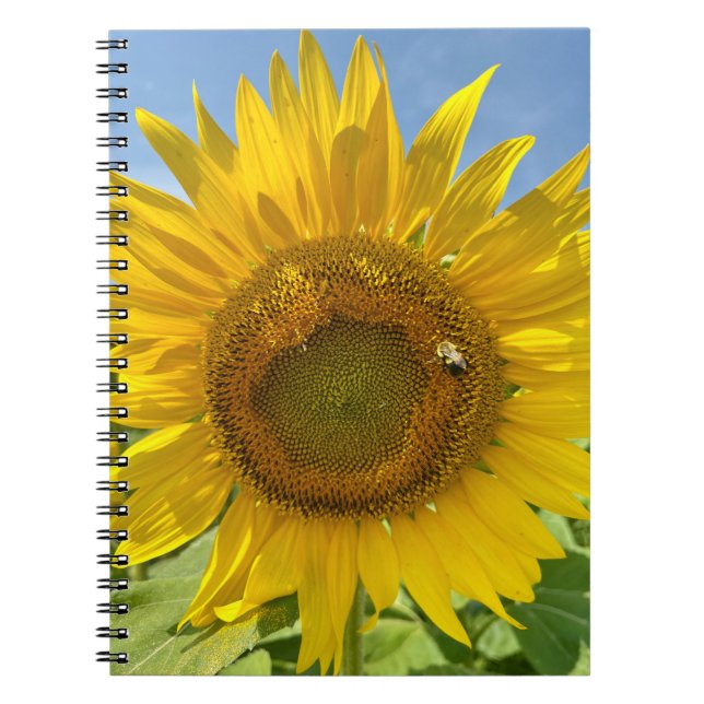 BuZZy Bee & Sunflower Photo Journal (Devant)