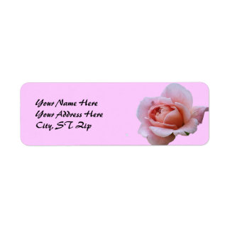 BV - Rose Floral Étiquettes de adresse
