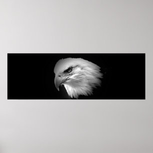 BW American Bald Eagle Imprimer - Affiches panoram