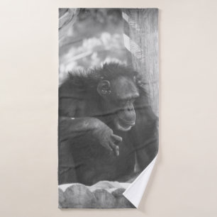 BW Chimp