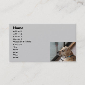 CA cartes de visite se reposants d'animal familier
