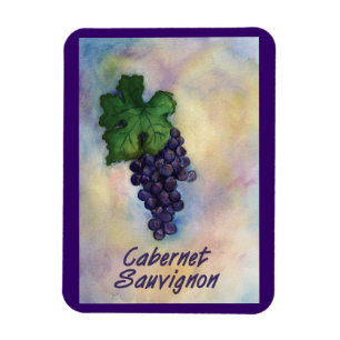 Cabernet Sauvignon Vins Raisins Peinture Magnet d'