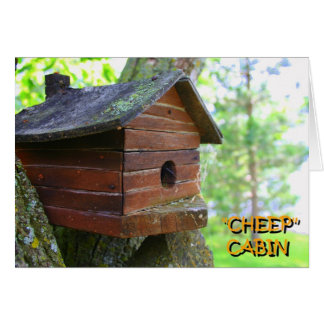 CABINE CHEEP