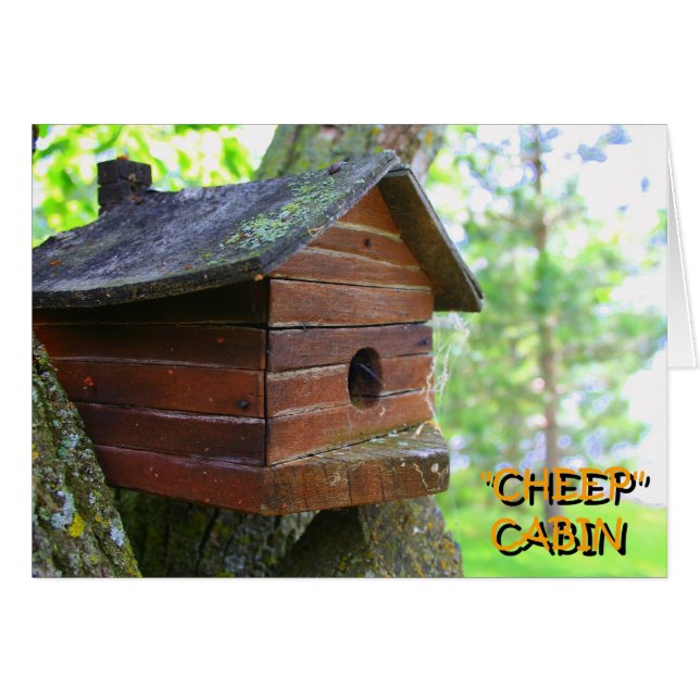 CABINE CHEEP (Devant Horizontal)