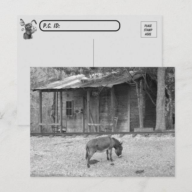 Cabine de poste et âne dans B&W Carte postale (Devant / Derrière)