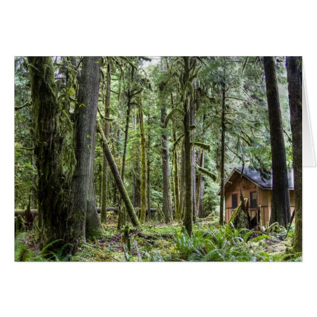 CABINE PNW (Devant horizontal)