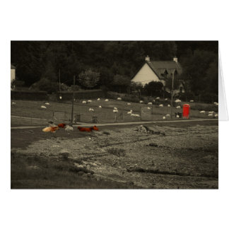 cabine téléphonique