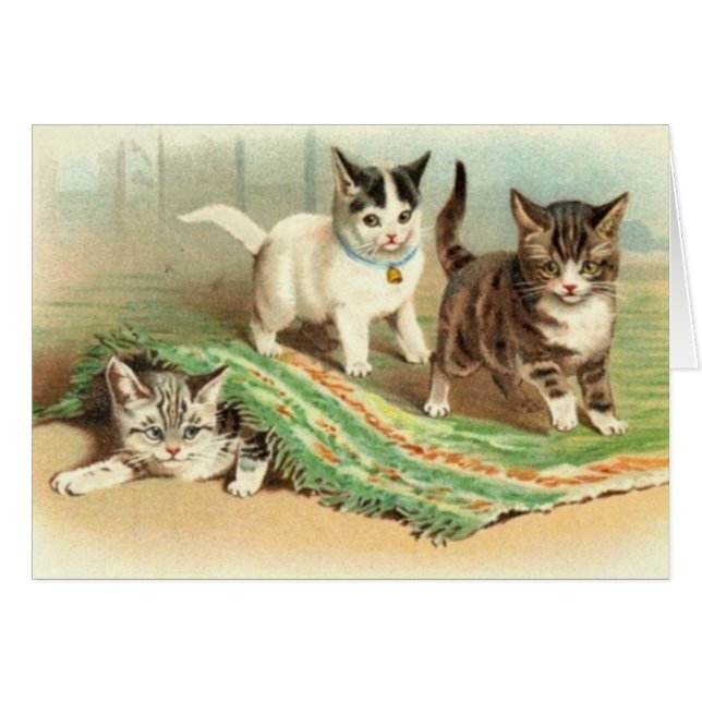 Cache-cache de chatons (Devant horizontal)