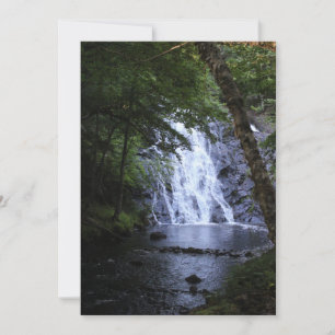 Caché par les arbres