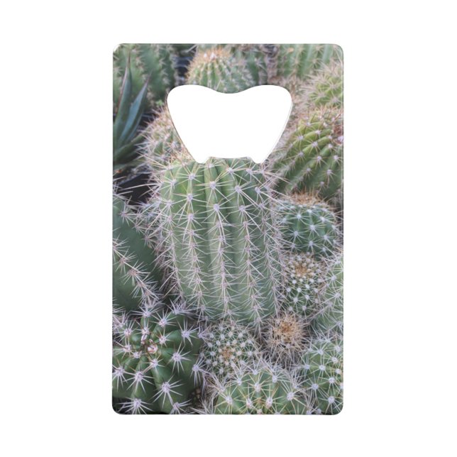 Cactus (Dos)