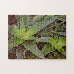 Cactus Art Nature Puzzle