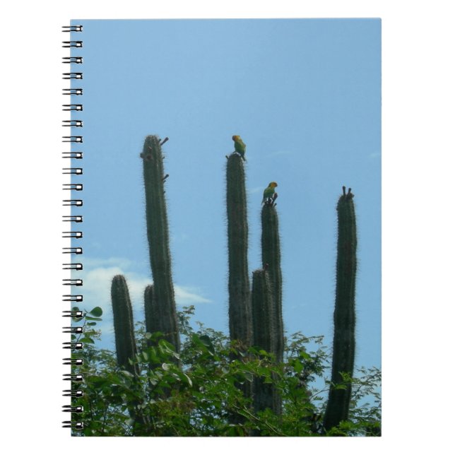 Cactus avec Lorikeets Bonaire Carnet (Devant)