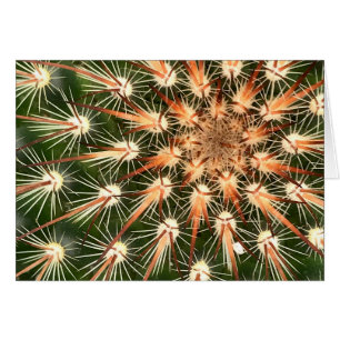Cactus avec Starburst Spines Carte de voeux