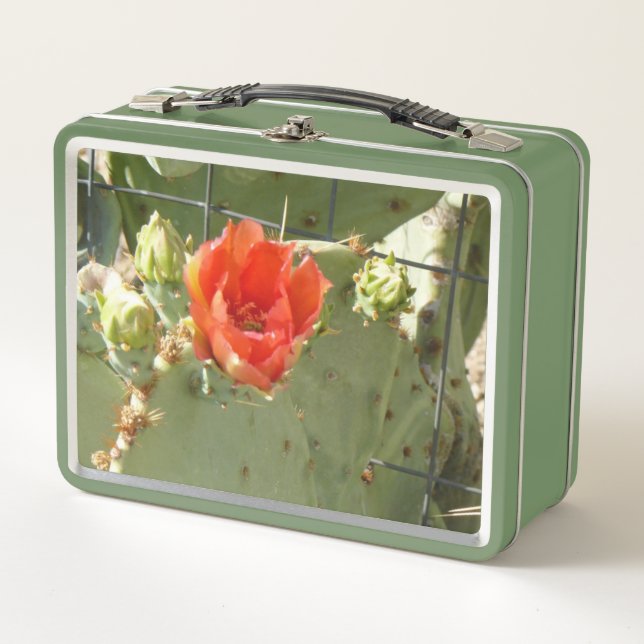 Cactus Belle et dure lunchbox verte (Devant)