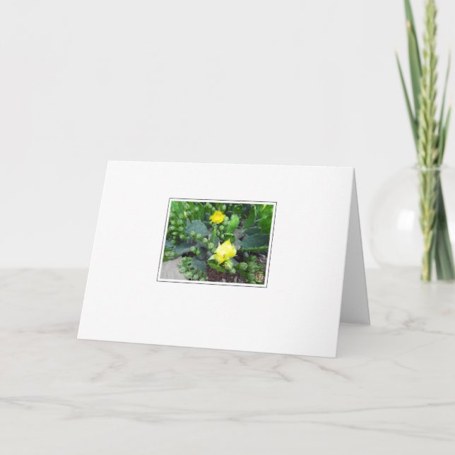 Cactus Blooms sur la carte de voeux blanche (Devant)