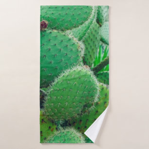Cactus, cactus de poires épineuses, épines de cact