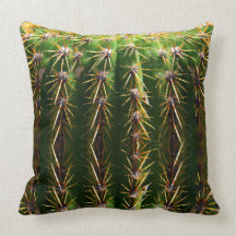 Cactus de baril de coussin de Pin