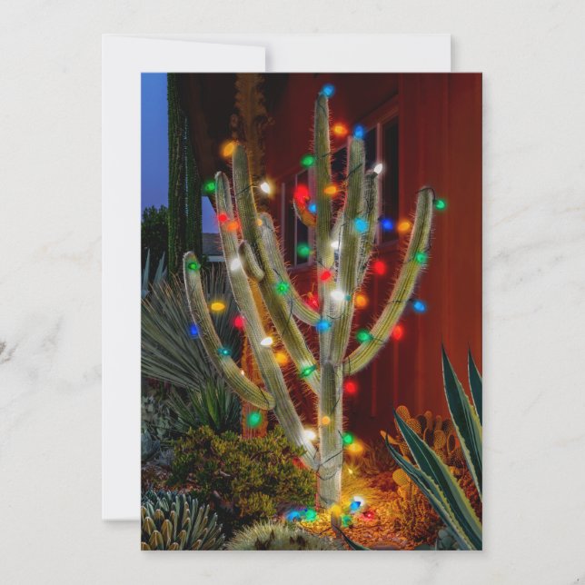 Cactus de Noël sur une carte de vacances à plat (Devant)