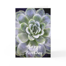 Cactus design - Carte de voeux d'anniversaire