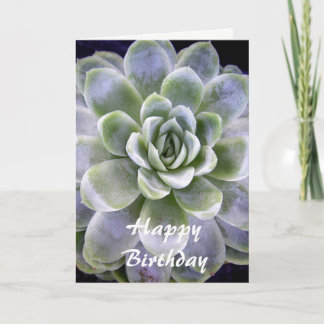 Cactus design - Carte de voeux d'anniversaire