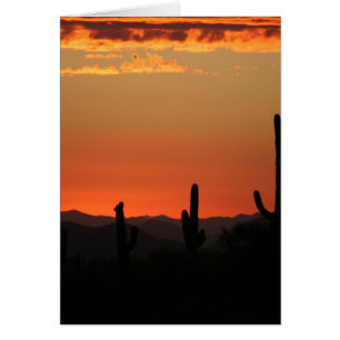 Cactus du Saguaro au coucher du soleil
