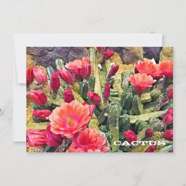 Cactus: Flat Card (Devant)