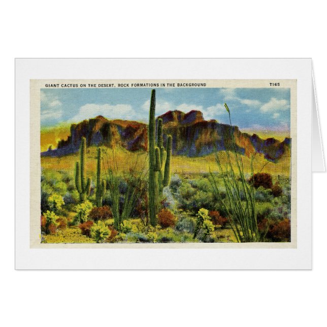 Cactus géant dans le désert - carte postale (Devant horizontal)