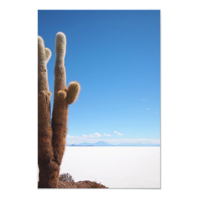 Cactus géant sur l'empreinte photo du Salar de Uyu (Devant)