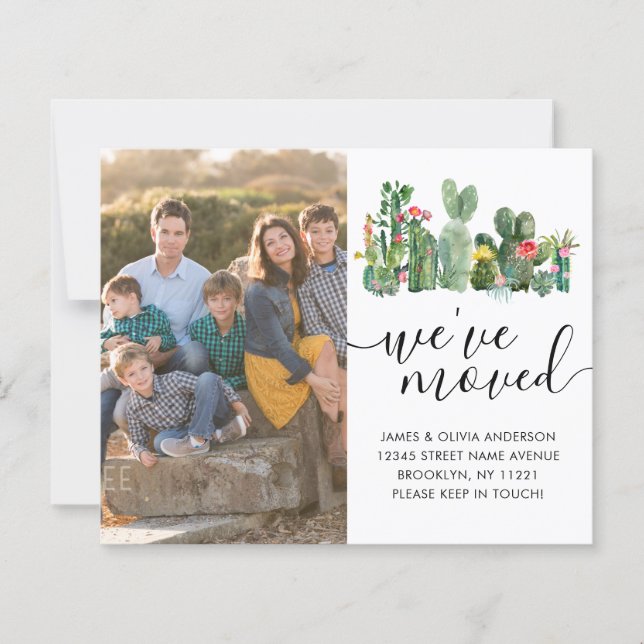 Cactus mignons Nous avons déplacé la photo Faire-p (Devant)