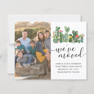 Cactus mignons Nous avons déplacé la photo Faire-p