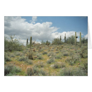 Cactus Pastoral Sweep Carte de voeux ou carte de n