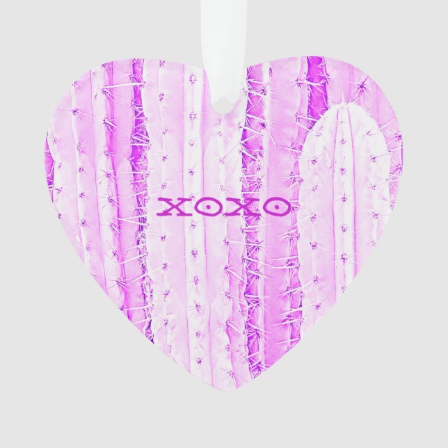 Cactus rose Saguaro XOXO Coeur Amour Désert Plaisi (devant)