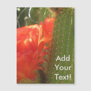 Cactus rouge de torche