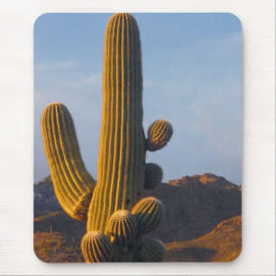 Cactus Saguaro Ensoleillé - Tapis de Souris